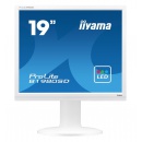 Iiyama B1980SD-W1 / monitor 19,0" / SXGA (1280 x 1024) / TN / LED / VGA / DVI / VESA 100 x 100 / pivot