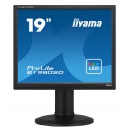 Iiyama B1980SD-B1 / monitor 19,0" / SXGA (1280 x 1024) / TN / LED / VGA / DVI / VESA 100 x 100 / pivot