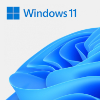 Windows 11