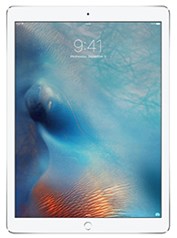 Apple iPad Pro 12,9 2nd Gen