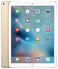 Apple iPad