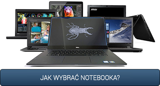 Jak wybrać notebooka - poradnik kuzniewski.pl